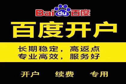 电商成功案例：竞价推广助力品牌崛起